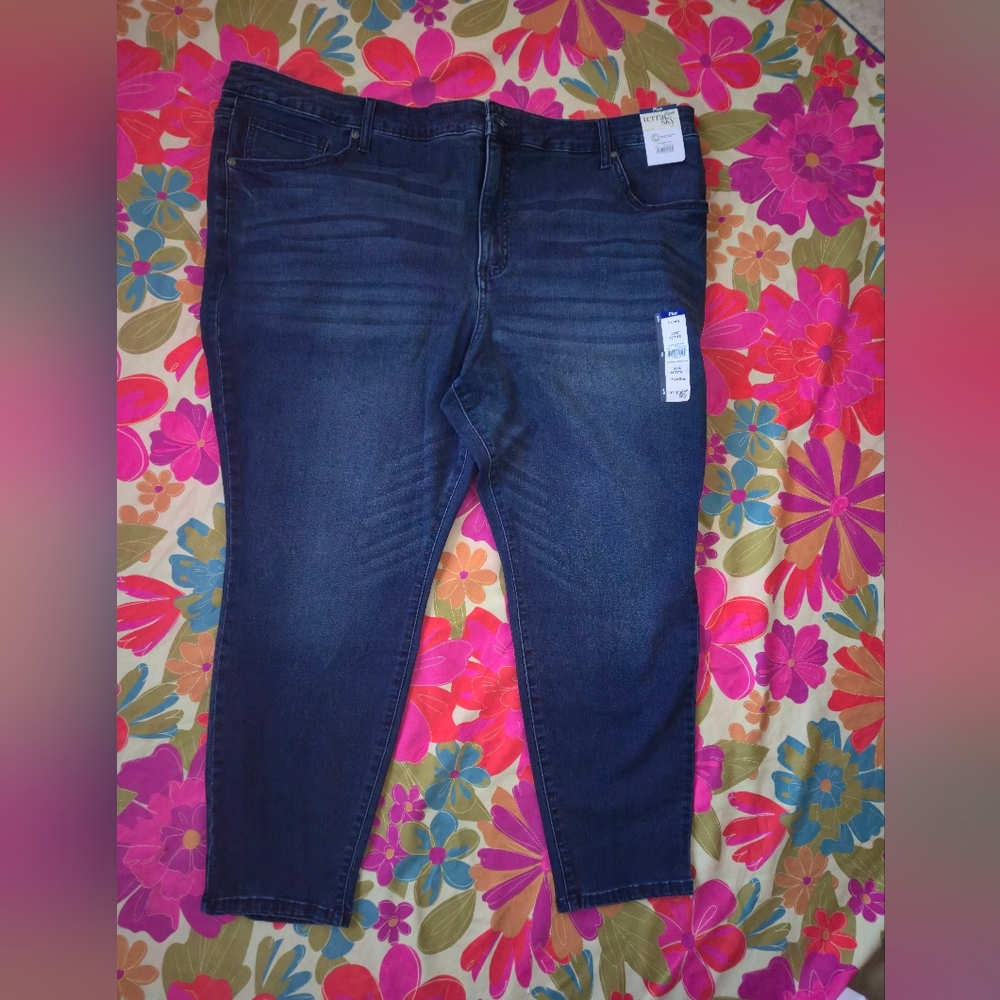 26W Terra & Sky Women's Deep Indigo Skinny Jeans
